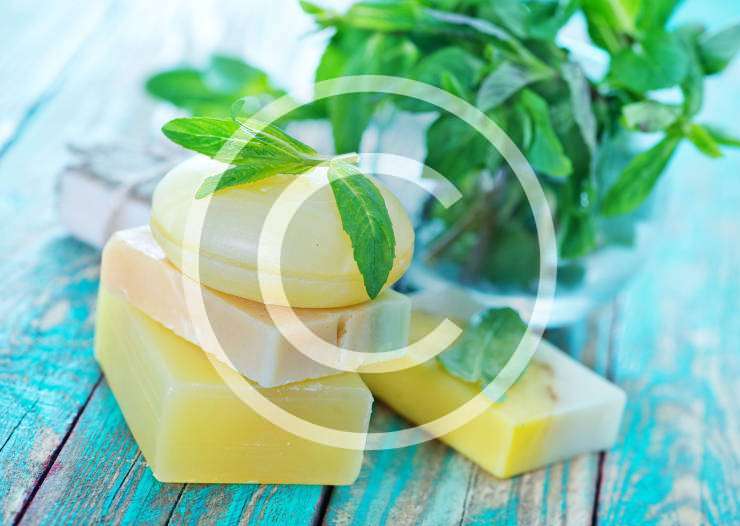 Best Handmade Soap Recipes