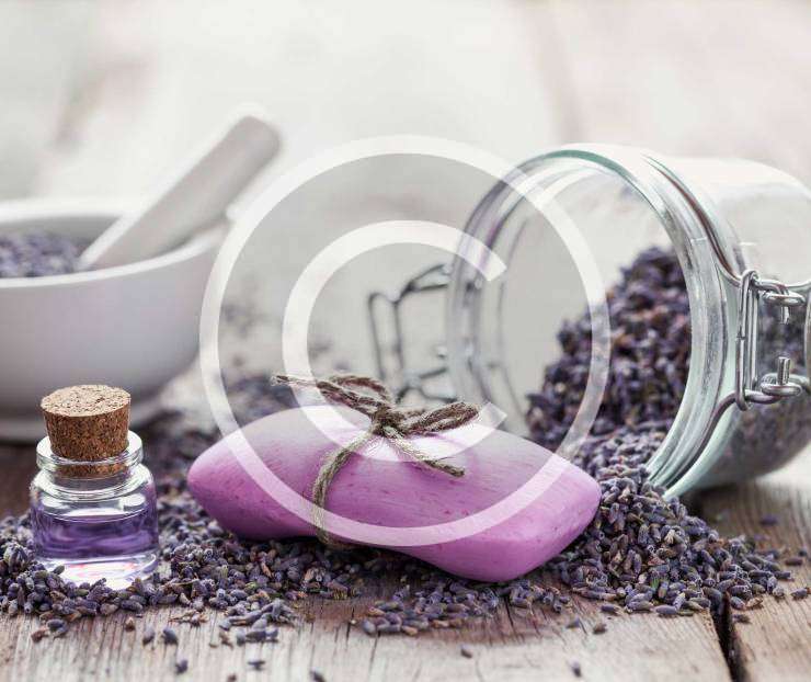 Lavender, Berry and Honey Equals Health