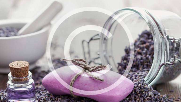 Lavender, Berry and Honey Equals Health