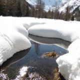 Felice non è colui che è molto amato ma colui che è capace di amare molto.