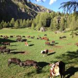 Generalmente ciò che detestiamo negli altri lo detestiamo perchè lo sentiamo anche nostro. Non ci danno fastidio i difetti che non abbiamo.