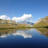 Le nostre inperfezioni o i nostri difetti se esibiti con fiducia possono trasformarsi in virtù.