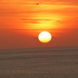 Tutte le battaglie nella vita servono per insegnarci qualcosa, anche quelle che perdiamo.